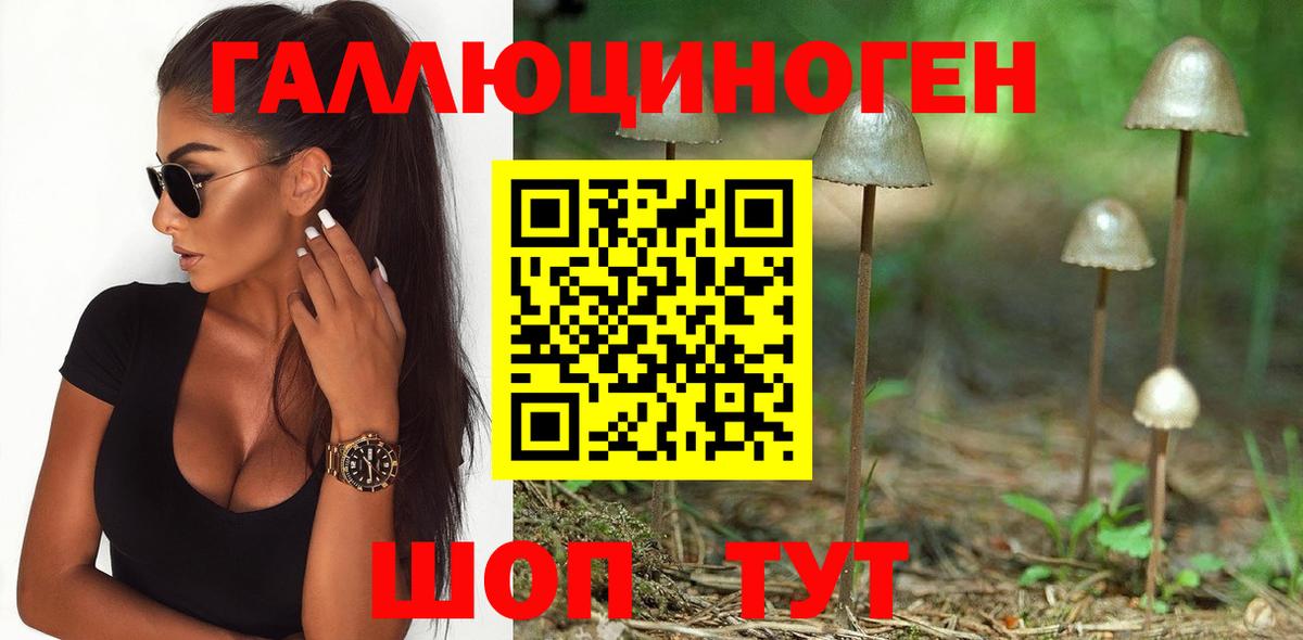 Псилоцибиновые грибы мицелий Саратов